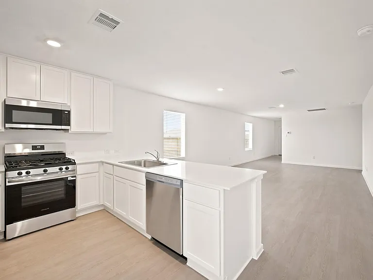 702 Umbrella Tree Dr — Photo 6