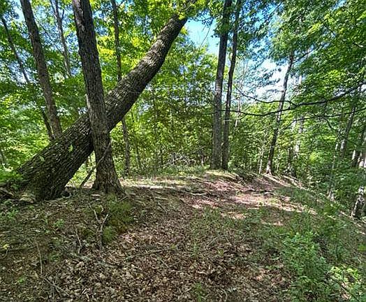 3rd image of 0 Wild Cherry Ln