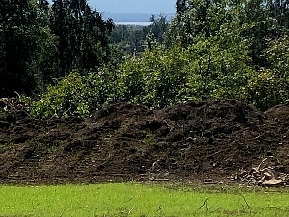 3rd image of 17562 W Bluebill Ave