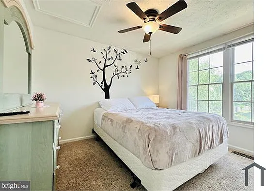 51 Chins Ct — Photo 21