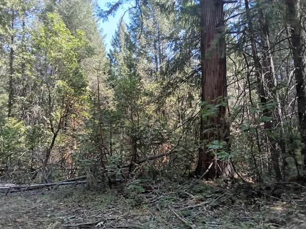 1 Just Rd, Colfax, CA 95713