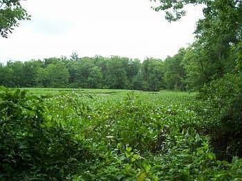 2nd image of 8443 Hicks Island Rd