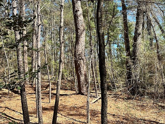 4th image of An County Rd #1204