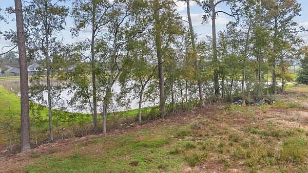 21225 W Hammond Dr — Photo 5