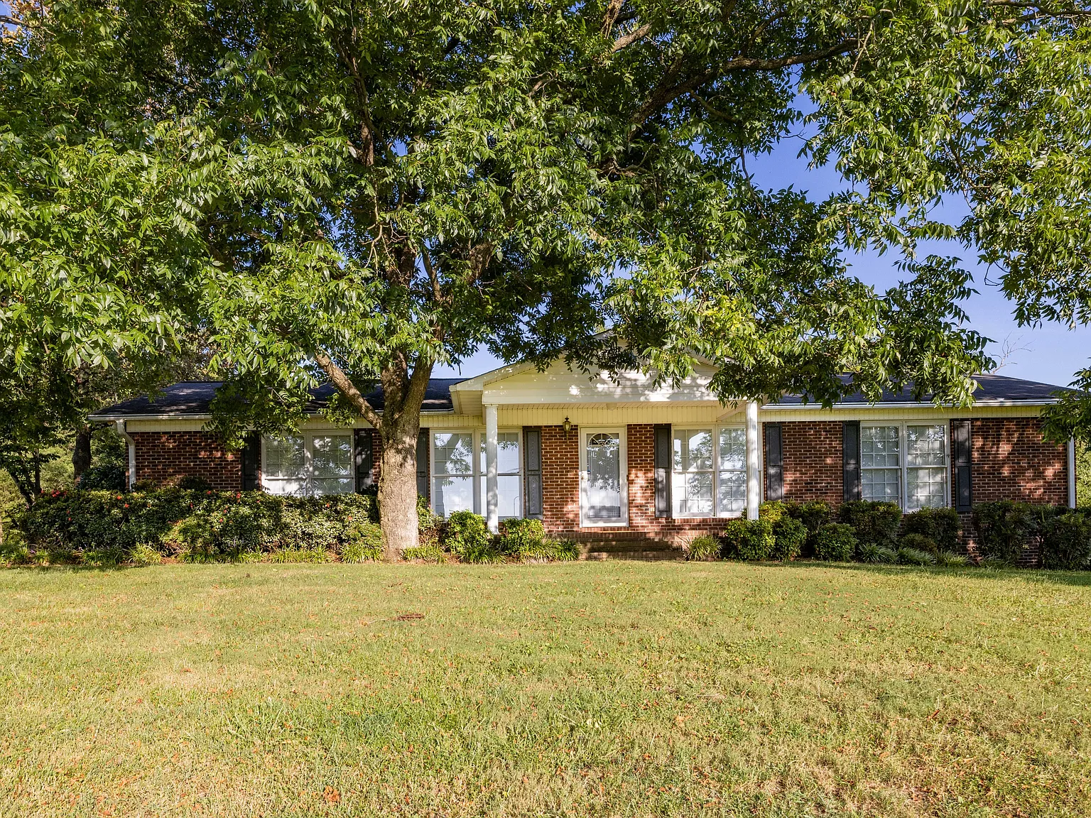 34838 Ellen Road - 1 — Photo 1
