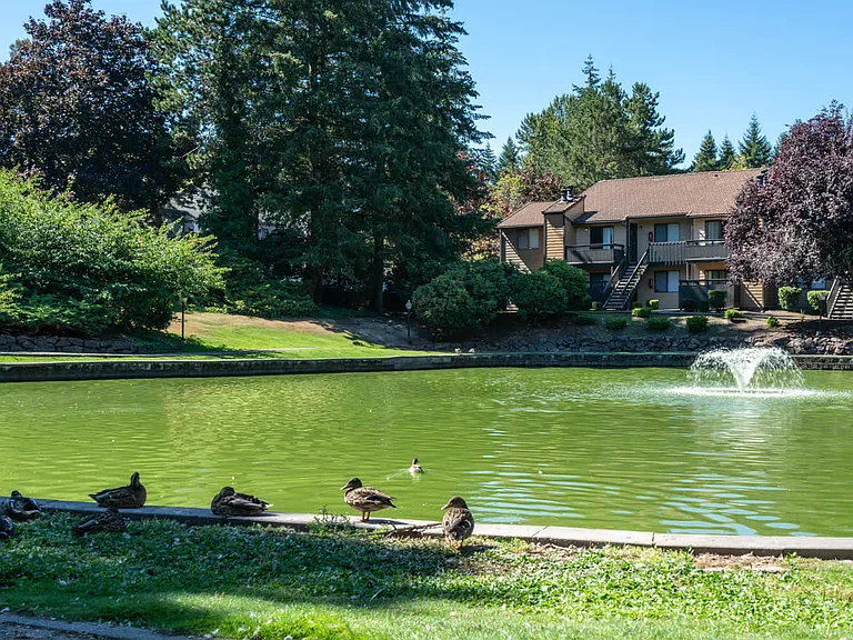 Outdoor Landscaping and Pond