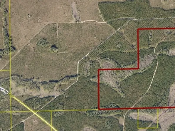 0 Pounds Rd SE, Lake City, FL 32025