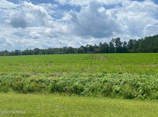 2451 Near Peanut Worley Rd, Cerro Gordo, NC 28430