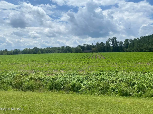 Near 2451 Peanut Worley Road, Cerro Gordo, NC 28430