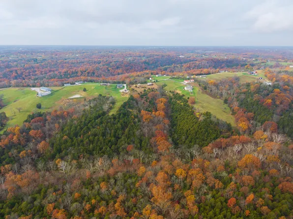 15711 Pfanstiehl Rd, De Mossville, KY 41033