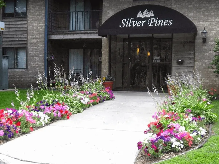 Silver Pines — Photo 11