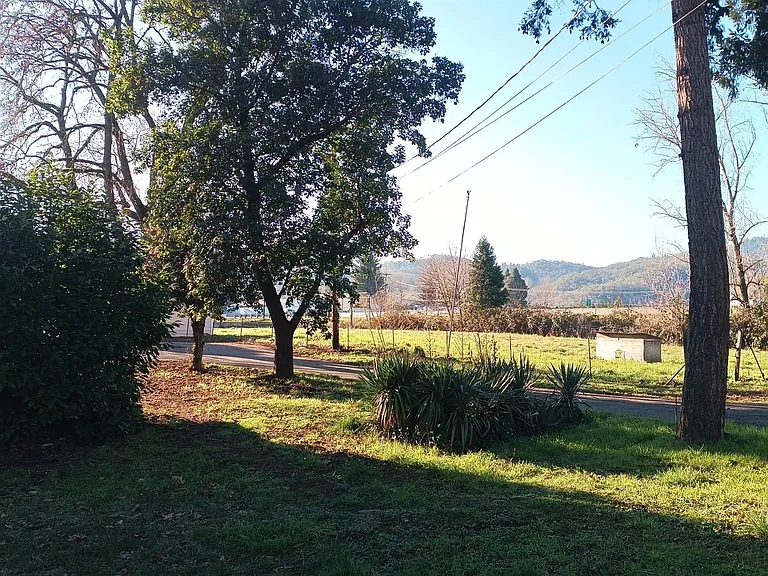 120 Winston Section Rd — Photo 24