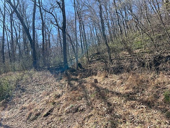 2nd image of 44 Wildcat Ln #41