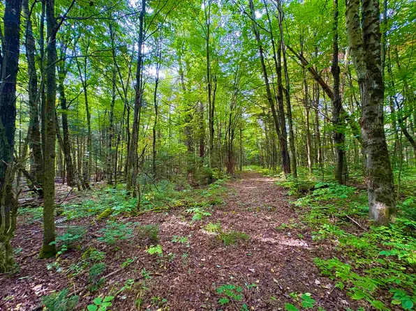 0 Partridge Hollow Road, Jay, VT 05859