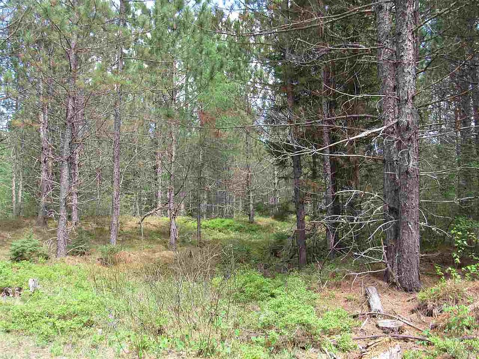 Tbd Wolf Lake Rd, Champion, MI 49814 MLS 10061069 Zillow