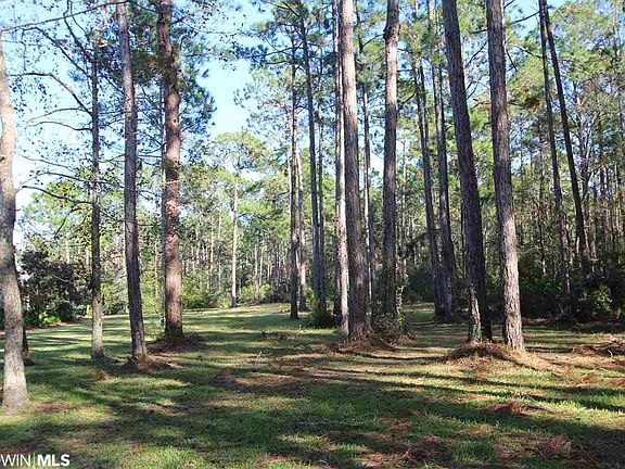 4th image of 0 Scenic Highway 98 #6