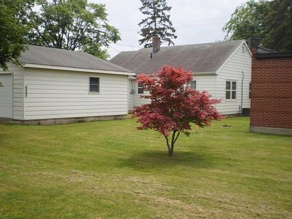 Back yard