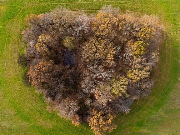 5th image of New Hope Rd