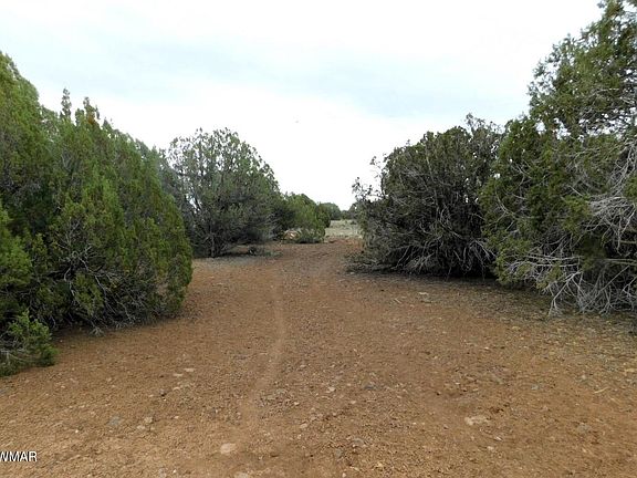 2nd image of 8333 Ridge Dr