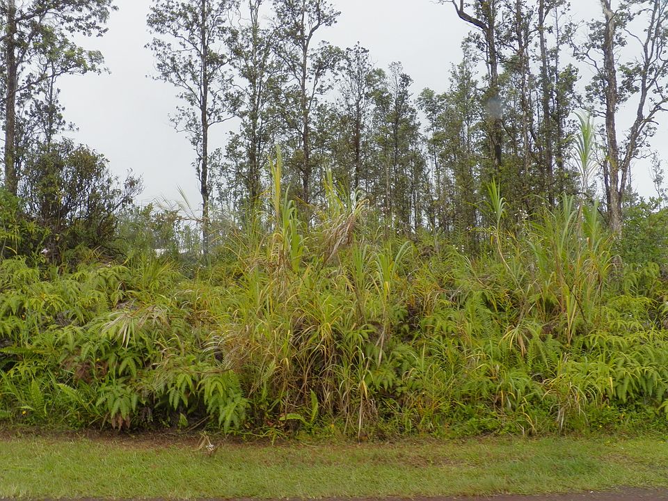 1st image of 16-2048 Orchid Dr Lot 12