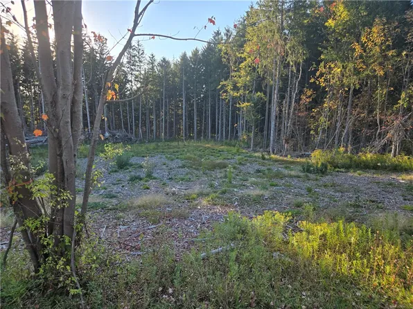 Curtis Rd #61, Hemlock, NY 14466