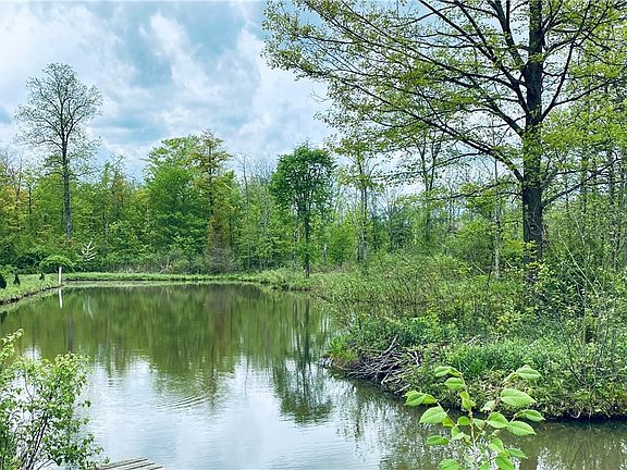 5th image of 0 Fowlers Mill Rd