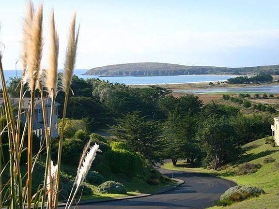 View to Bodega Harbor