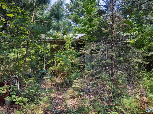 199 Williams Rd, Toney, AL 35773