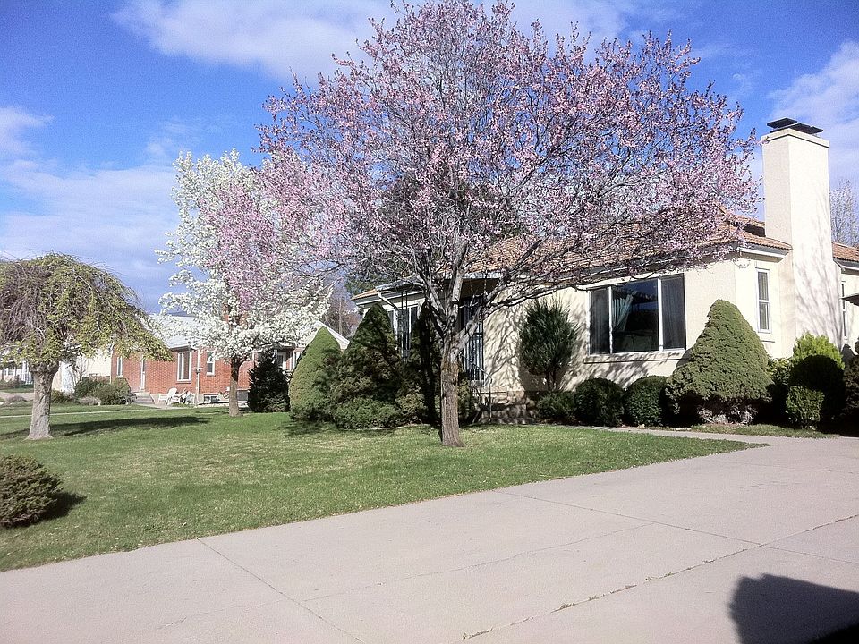 Spring Time on Crestview