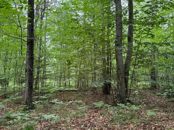 N Wilson Rd, Lake City, MI 49651