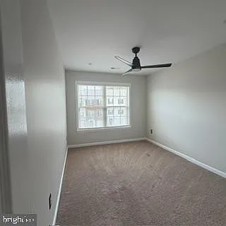 100 Sand Dollar Cv — Photo 24