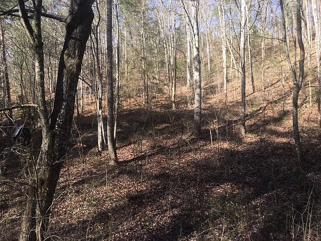 1st image of LOT 57 Wintergreen Dr
