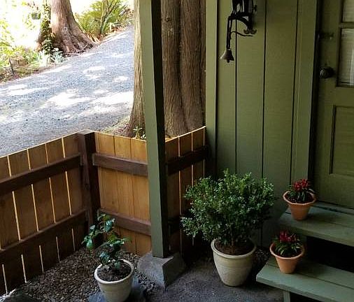 Fenced in yard 