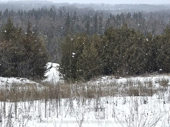 0 Shannonville Rd, Tyendinaga, ON K0K 3A0