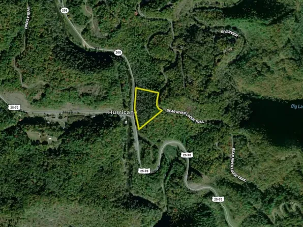 78 Bear River Lodge Trl, Marshall, NC 28753