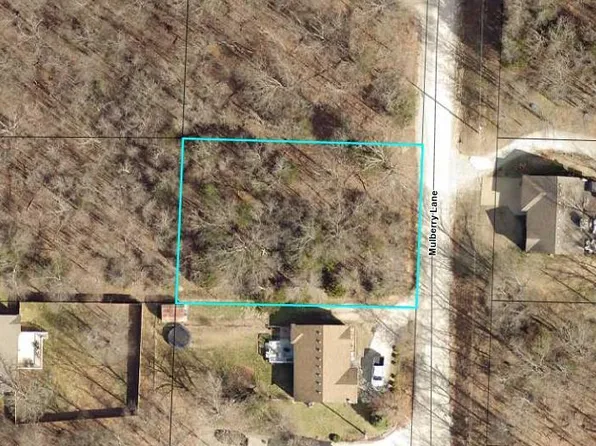 Lot 6 Mulberry Lane, Ridgedale, MO 65739