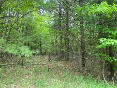 S Poor Farm Rd, Harrisville, MI, 48740