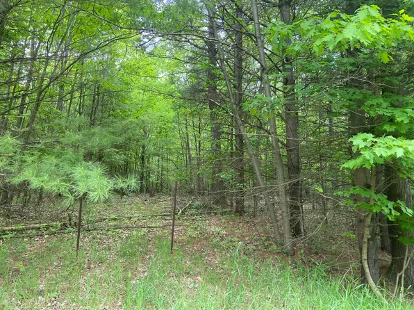 S Poor Farm Rd, Harrisville, MI 48740