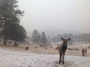 22226 Meadow View Rd, Morrison, CO 80465