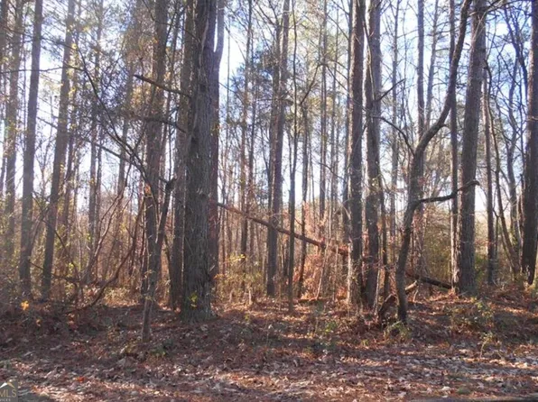 0 Bartlett Cir, Bowdon, GA 30108