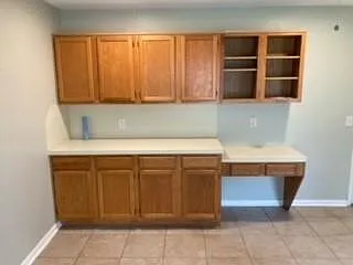 20507 Big Wells Dr — Photo 10