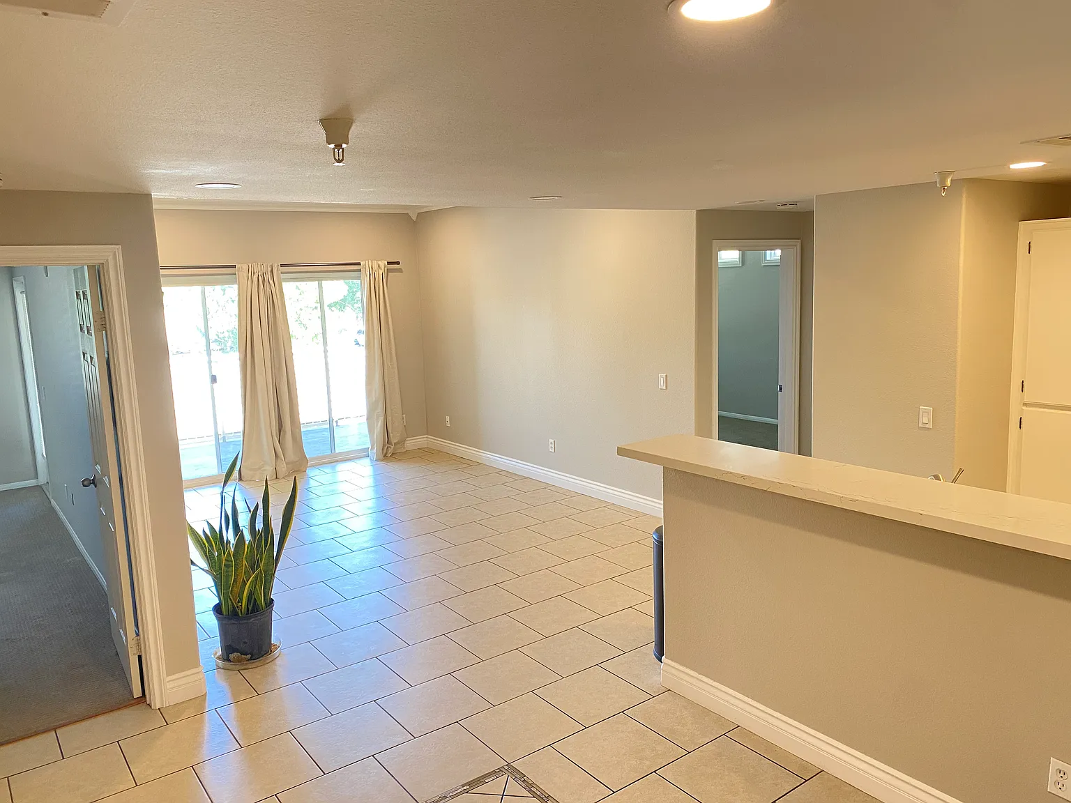 2 bed, 1101 sqft, $2,450 — Photo 4