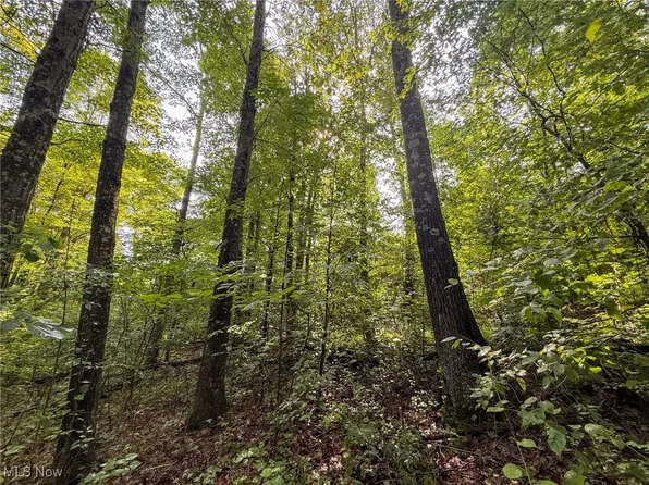 Township Road 273 SE, Shawnee, OH 43782