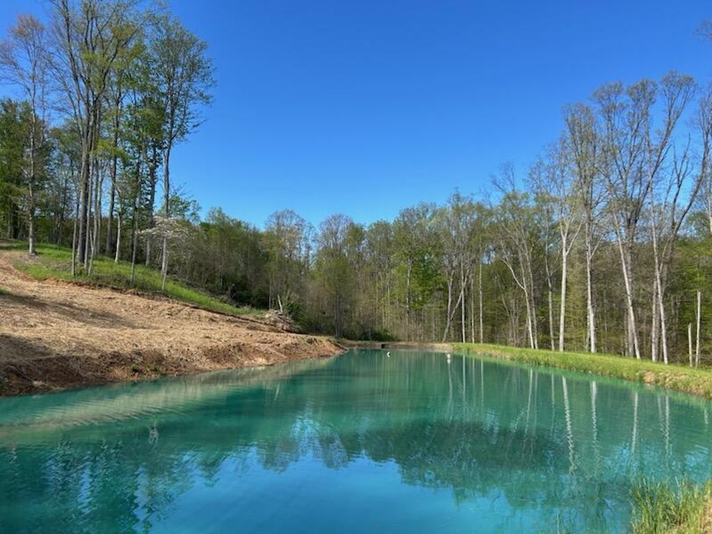 Real estate listing image