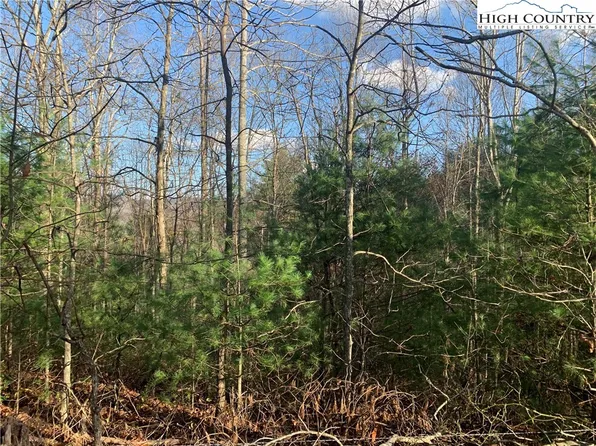 TBD Old Mountain Road, Creston, NC 28615