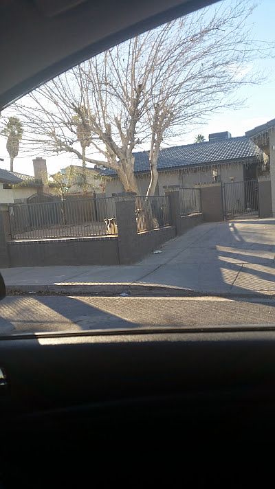 2nd image of 3961 Olive St