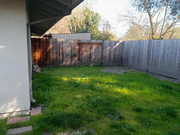 Back yard.