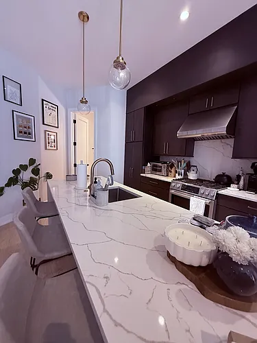 2034 N Wood St #1S Photo 1