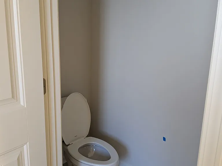 Master Bathroom - Toilet
