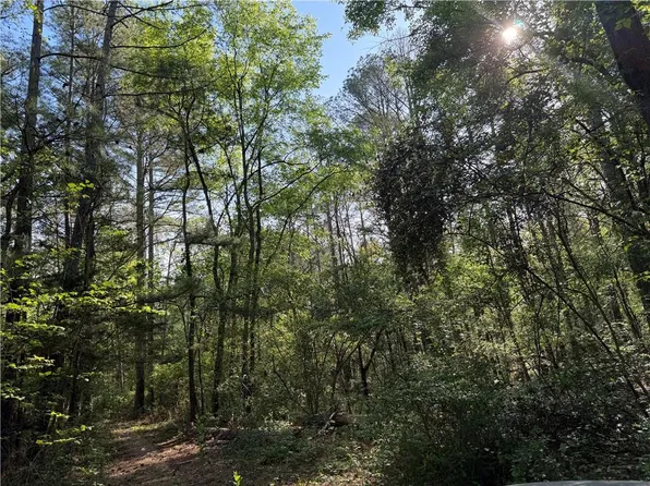 0 Clear Lake Dr, Adairsville, GA 30103